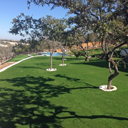 Artificial Turf in Rendon, Texas