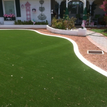 Synthetic Turf in Zavalla, Texas