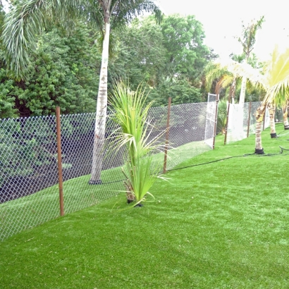 Artificial Grass in Cotulla, Texas