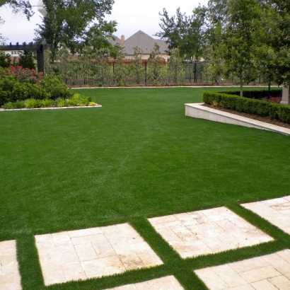 Turf Grass Atascocita, Texas Roof Top, Backyard Ideas