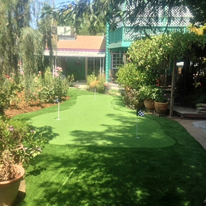 Artificial Grass in Silverton, Texas