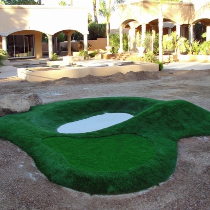 Fake Grass for Yards, Backyard Putting Greens in Laguna Park, Texas