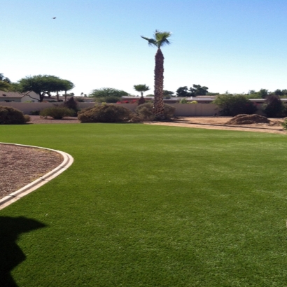 Artificial Turf in Marshall Creek, Texas