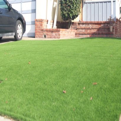 Artificial Grass in Union Valley, Texas