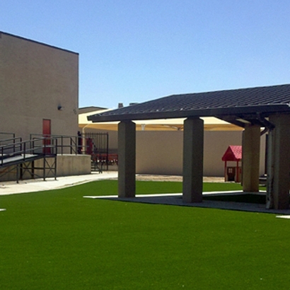 Artificial Turf in K-Bar Ranch, Texas