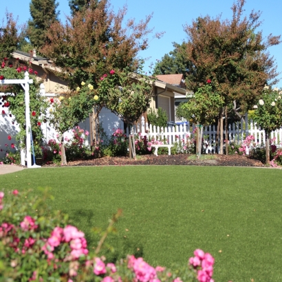 Artificial Grass in Annona, Texas