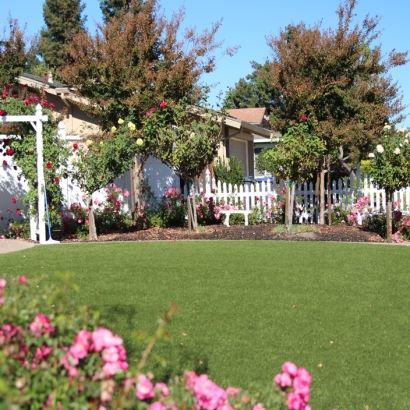 Backyard Putting Greens & Synthetic Lawn in Blossom, Texas