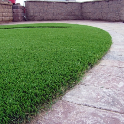 Turf Grass Wilmer, Texas Roof Top, Front Yard