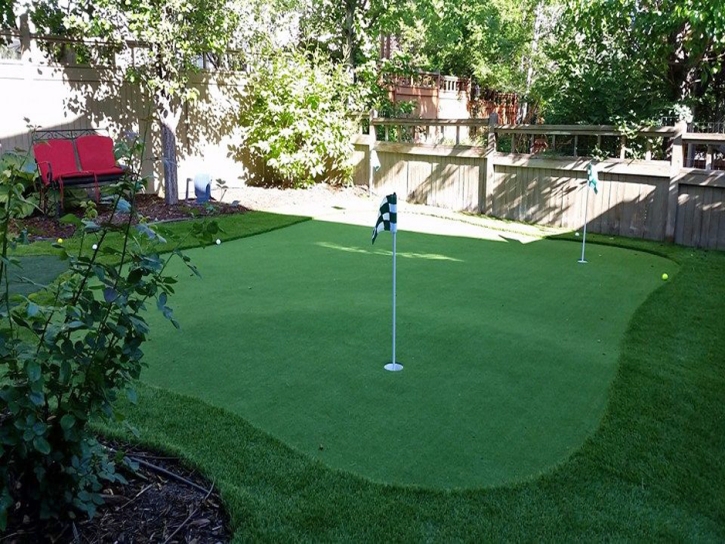 Artificial Grass Abilene, Texas Lawns, Backyard Landscape Ideas