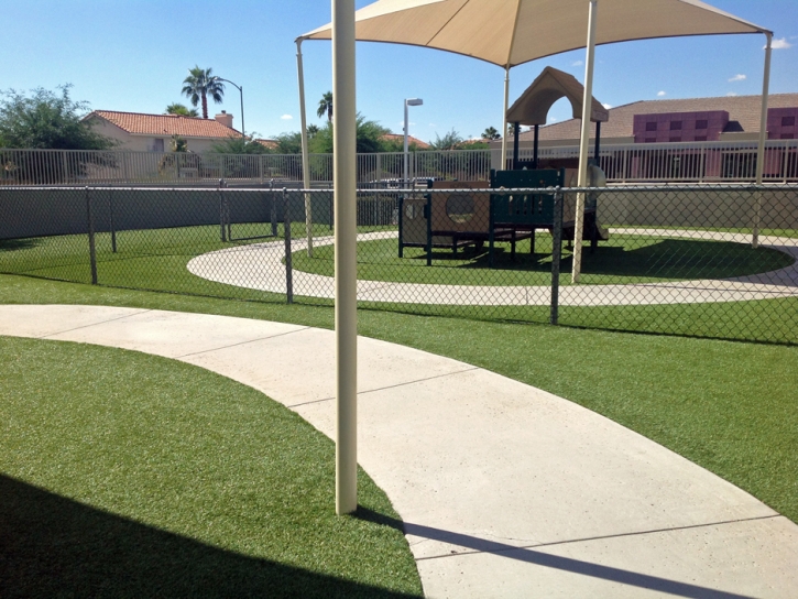 Artificial Grass Alpine, Texas Landscape Design, Commercial Landscape