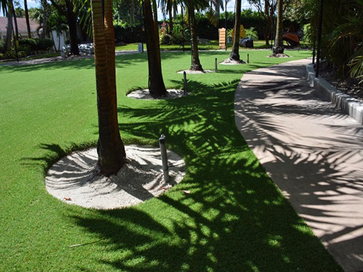 Artificial Grass Carpet Alamo, Texas Lawn And Landscape, Commercial Landscape