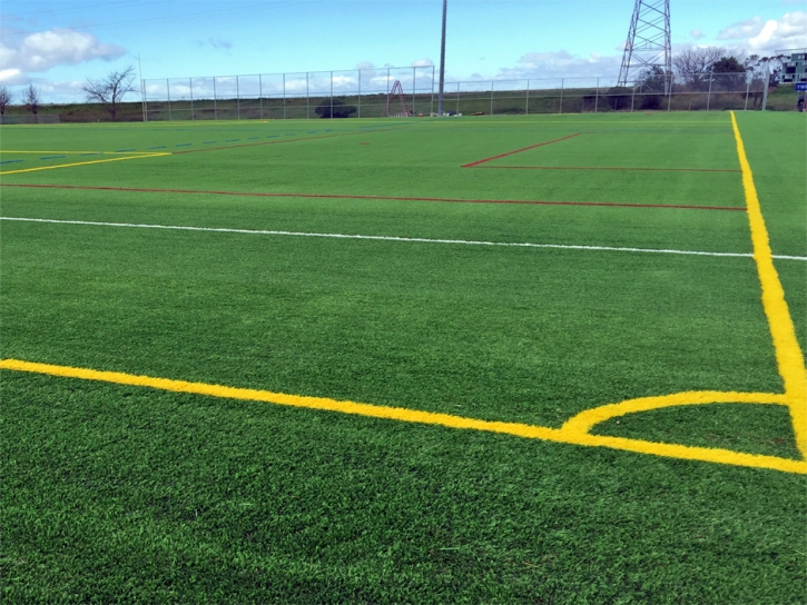 Artificial Grass Carpet Atascocita, Texas Bocce Ball Court