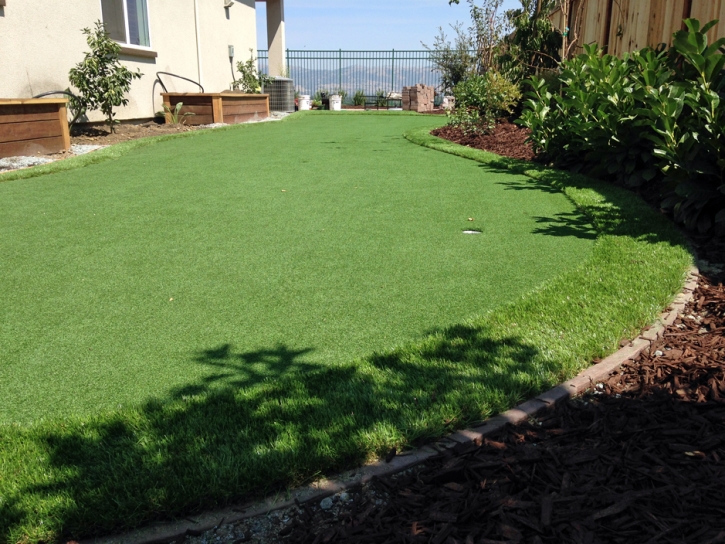 Artificial Grass Carpet Belton, Texas Garden Ideas, Backyards