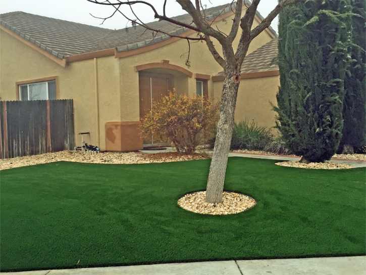 Artificial Grass Carpet Burleson, Texas Design Ideas, Front Yard Design