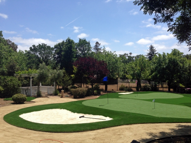 Artificial Grass Carpet Cloverleaf, Texas Best Indoor Putting Green, Front Yard Landscape Ideas