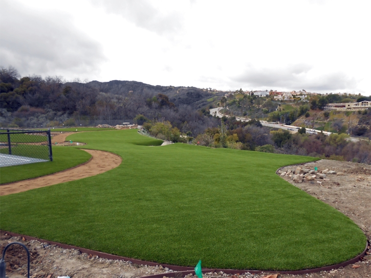 Artificial Grass Carpet Highlands, Texas Lawns