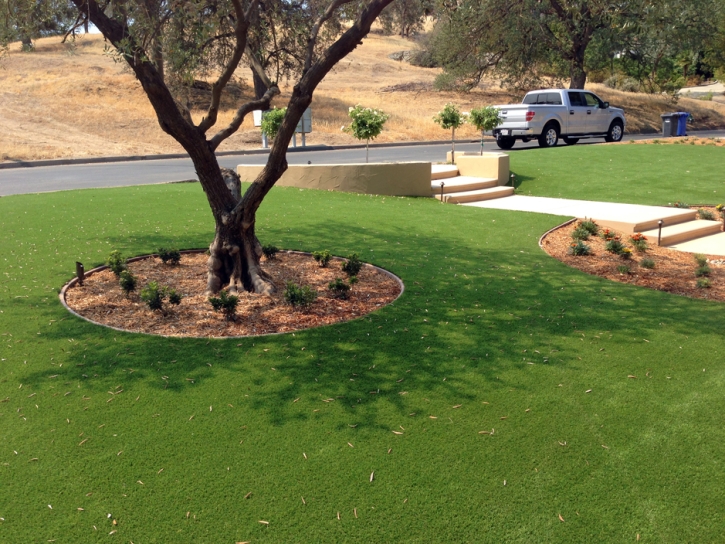 Artificial Grass Carpet Littlefield, Texas Rooftop, Small Front Yard Landscaping