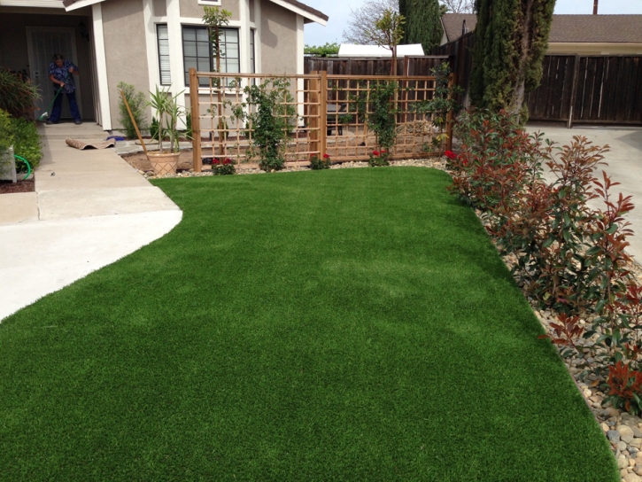 Artificial Grass Carpet Nacogdoches, Texas Lawn And Garden, Front Yard Landscaping