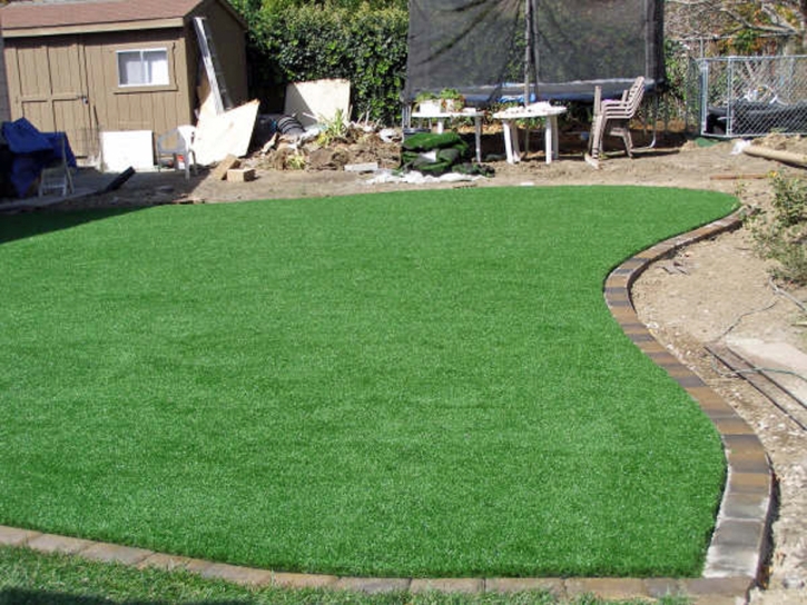 Artificial Grass Carpet Nash, Texas Roof Top, Backyard Garden Ideas