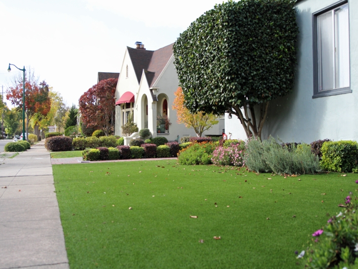 Artificial Grass Carpet Olmos Park, Texas Rooftop, Front Yard Landscaping Ideas