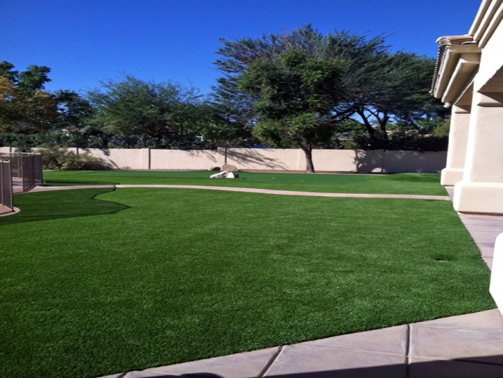 Artificial Grass Carpet Orange, Texas Landscape Photos, Front Yard Design