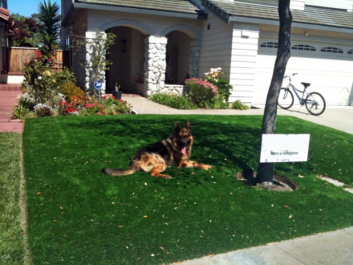 Artificial Grass Carpet Pharr, Texas Rooftop, Front Yard Landscaping Ideas