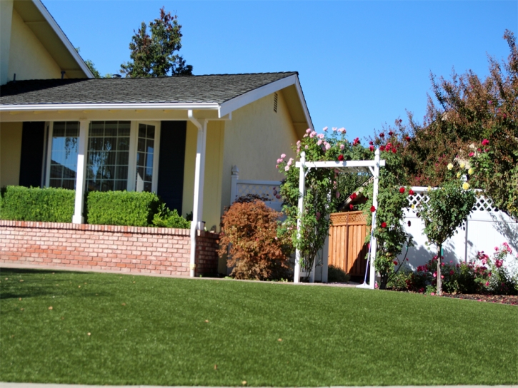 Artificial Grass Carpet Rio Bravo, Texas Landscape Design, Front Yard Design