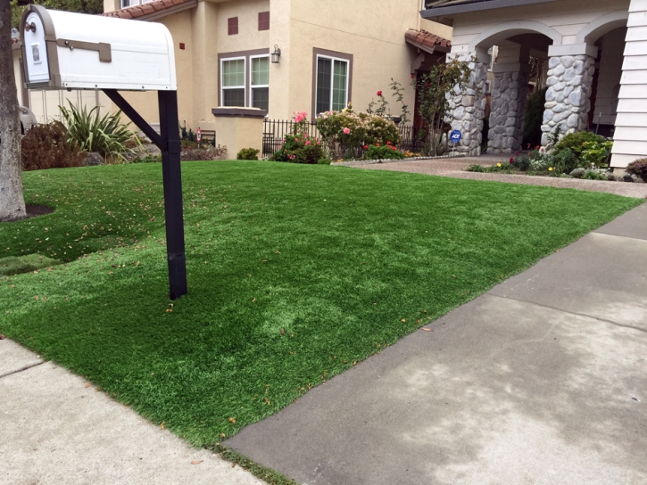 Artificial Grass Carpet Val Verde Park, Texas Garden Ideas, Small Front Yard Landscaping