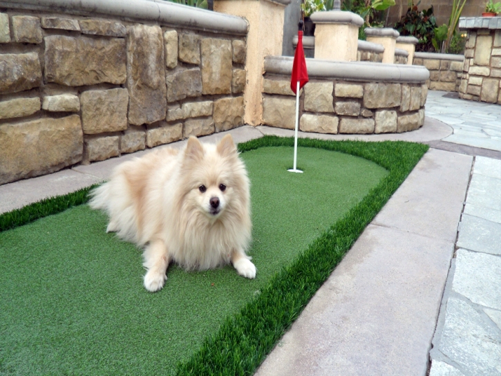 Artificial Grass Carpet Victoria, Texas Lawn And Landscape, Backyard Designs