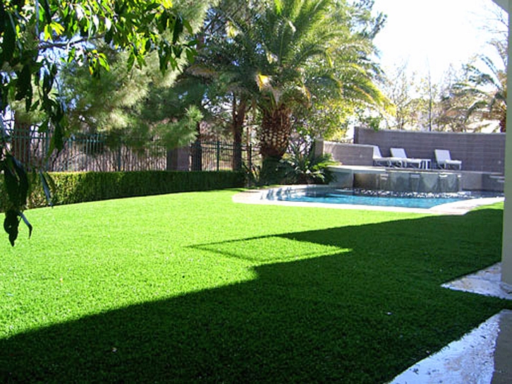 Artificial Grass Carpet Weslaco, Texas Rooftop, Beautiful Backyards