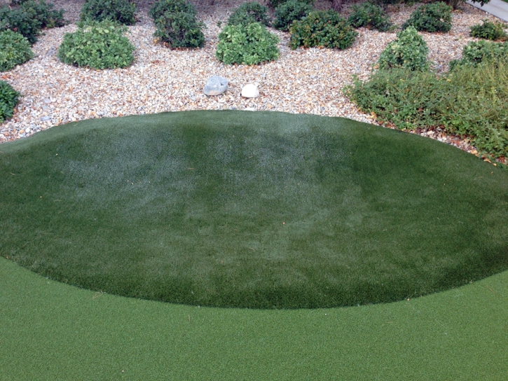 Artificial Grass Clifton, Texas Indoor Putting Greens