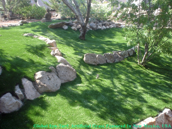 Artificial Grass Corpus Christi, Texas Roof Top, Commercial Landscape