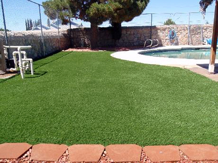 Artificial Grass George West, Texas Landscaping, Kids Swimming Pools