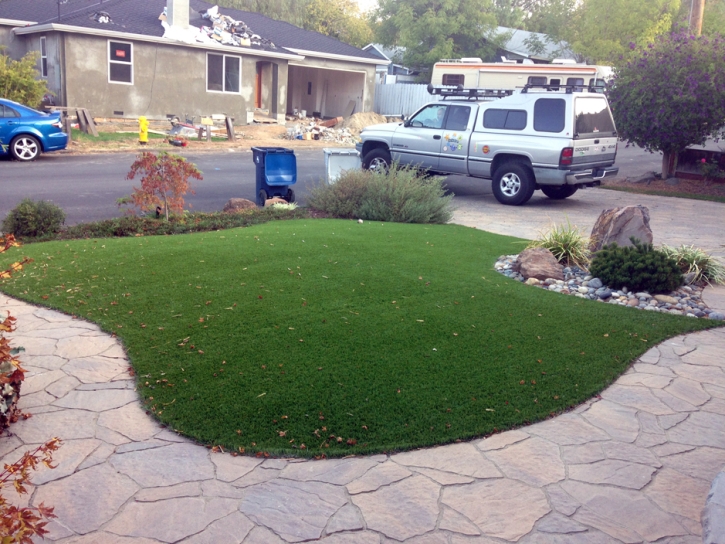 Artificial Grass Grape Creek, Texas Rooftop, Front Yard Design