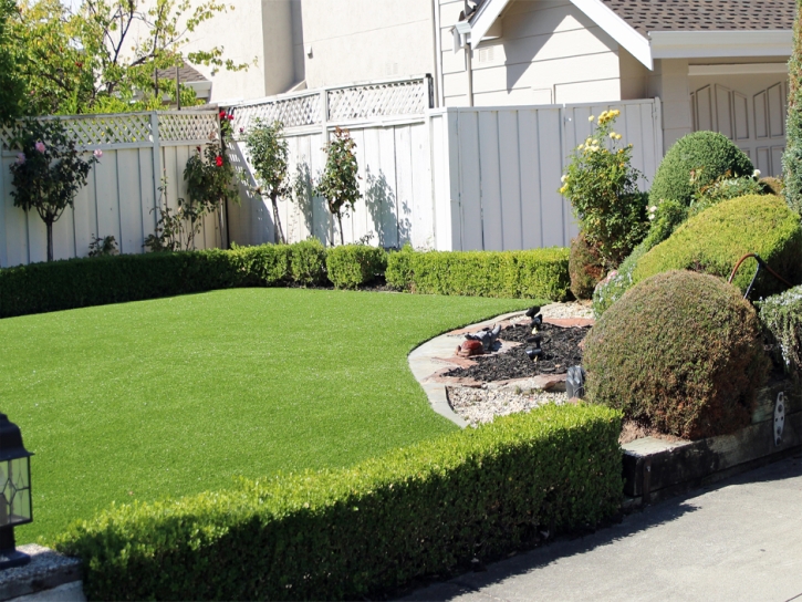 Artificial Grass Hedwig Village, Texas Rooftop, Landscaping Ideas For Front Yard