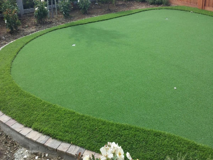 Artificial Grass Houston, Texas Rooftop, Backyard Landscape Ideas