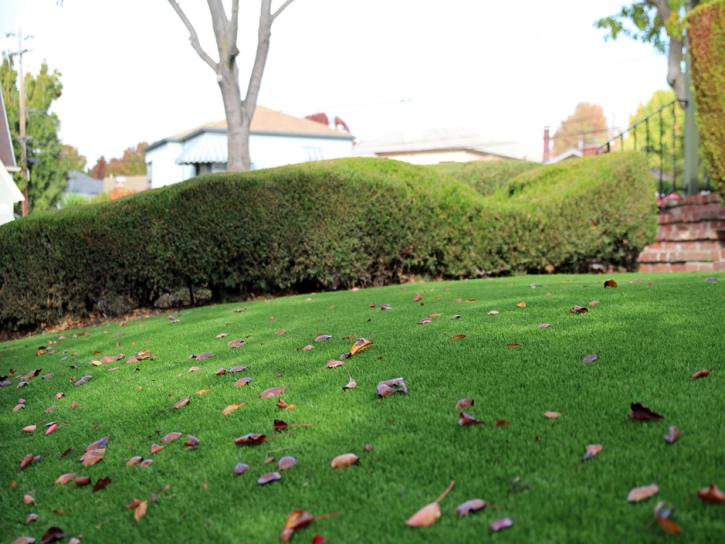 Artificial Grass Installation Bloomington, Texas Lawn And Garden, Front Yard