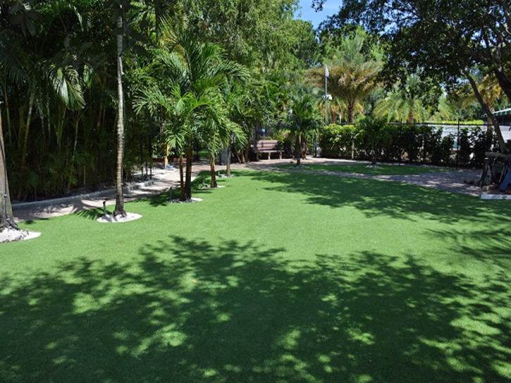 Artificial Grass Installation Cinco Ranch, Texas Home And Garden, Commercial Landscape