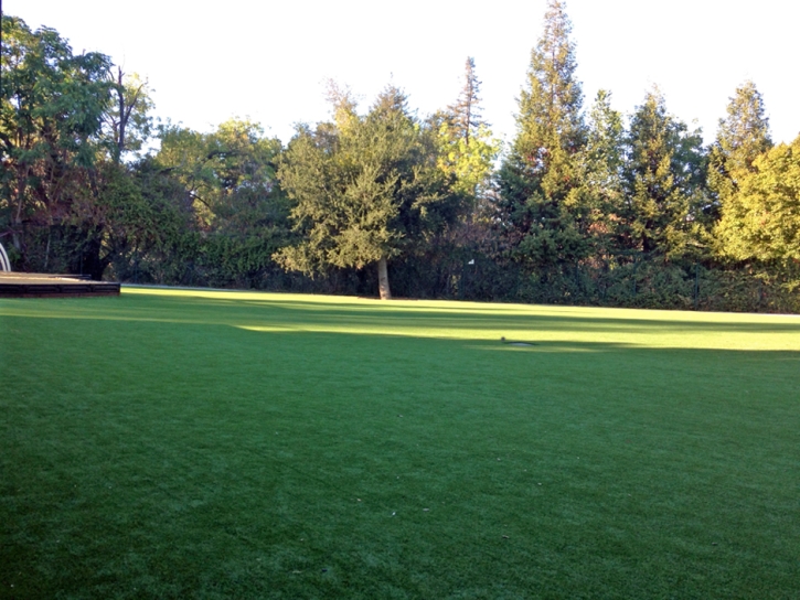 Artificial Grass Installation Gatesville, Texas Landscape Design, Parks