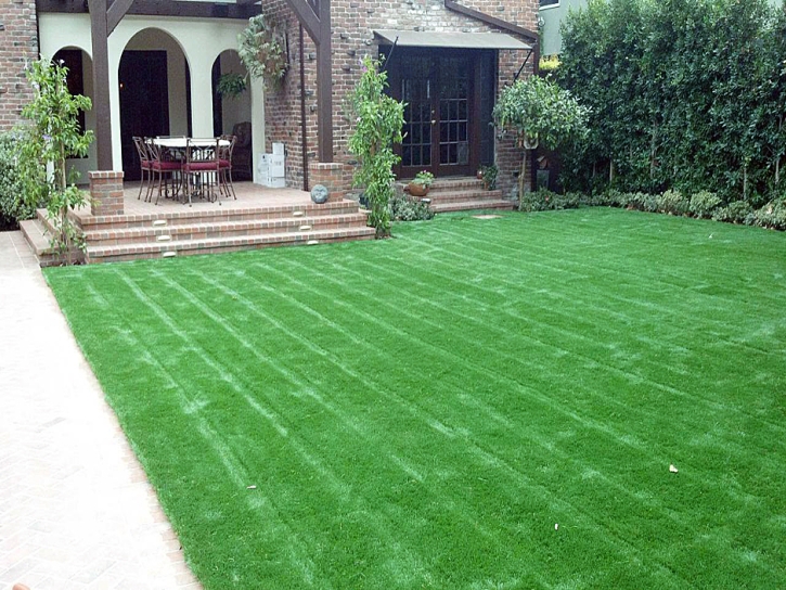 Artificial Grass Lockhart, Texas Landscaping, Small Front Yard Landscaping