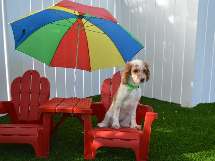 Artificial Lawn Cloverleaf, Texas Artificial Grass For Dogs, Dogs Runs