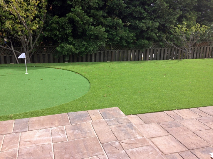 Artificial Lawn Combes, Texas How To Build A Putting Green, Backyard