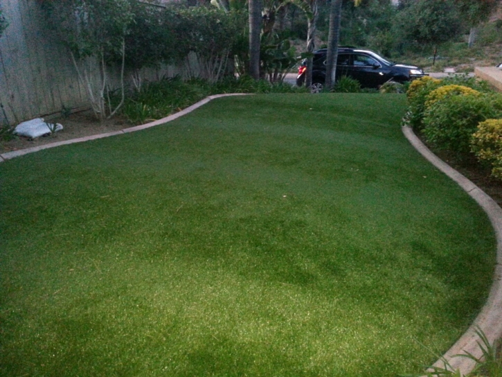 Artificial Lawn Plainview, Texas Landscaping Business, Front Yard Design