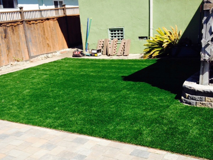 Artificial Lawn Roanoke, Texas Lawn And Garden, Backyard Garden Ideas