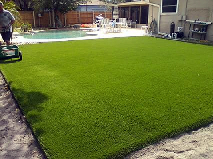 Artificial Turf Cedar Park, Texas Landscape Ideas, Swimming Pools