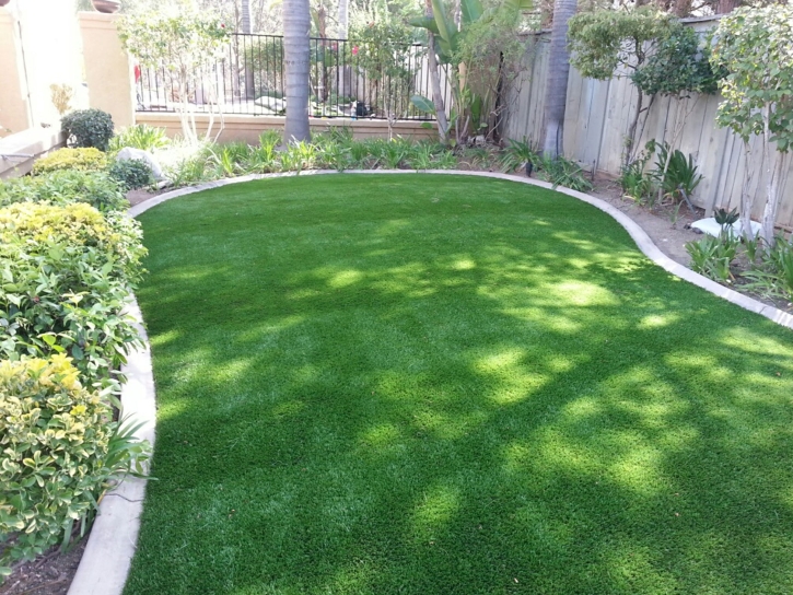 Artificial Turf Cost Big Spring, Texas Home And Garden