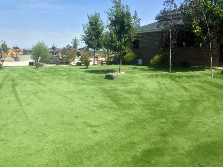 Artificial Turf Cost Canyon Lake, Texas Watch Dogs, Recreational Areas