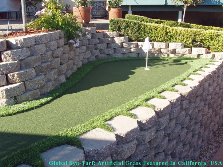 Artificial Turf Cost El Paso, Texas Putting Green Flags, Backyard Garden Ideas