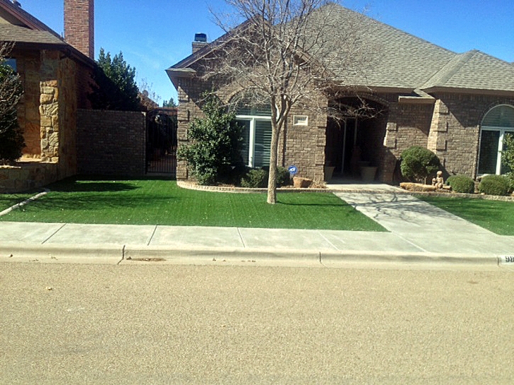 Artificial Turf Cost Hamilton, Texas Landscaping Business, Front Yard Design