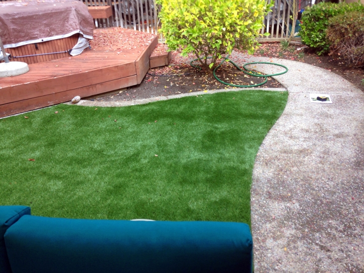 Artificial Turf Cost Rancho Viejo, Texas Home And Garden, Backyards